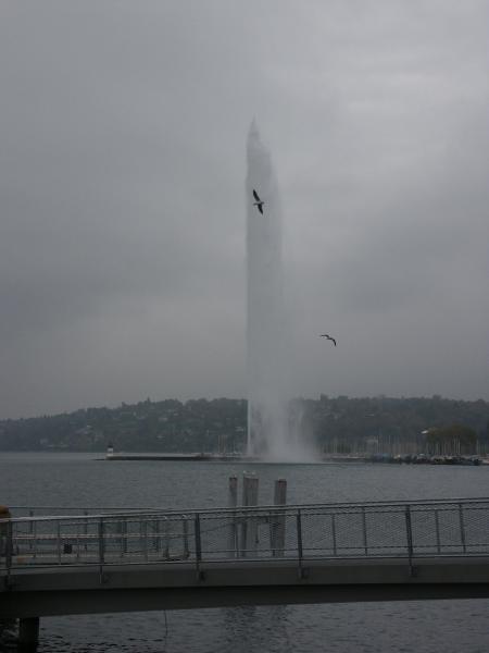 Arrrffff !! il faisait pas tr�s beau mais c'est pas magnifique �a ???